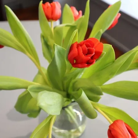 Hotell Colbert Saint-Jean-de-Luz