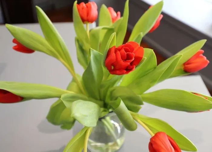 ホテル オテル コルベール サン＝ジャン＝ド＝リュズ